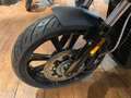 Indian Scout Rogue "Edition"+ Aktion EUR  1.000/3,99 % siva - thumbnail 3