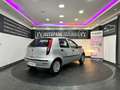 Fiat Punto 1,2 *1.BESITZ*8-FACH* Grau - thumbnail 6
