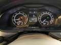 Skoda Kamiq Automatik Apple CarPlay Sitzheizung PDC Gris - thumbnail 19