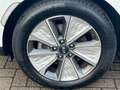 Kia Soul e-Soul DynamicLine 64 kWh LED Navi Kamera Weiß - thumbnail 48