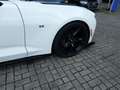 Chevrolet Camaro 6,2Ltr.V8 CABRIO* Brembo* Memory *TOPVOLL Blanco - thumbnail 7
