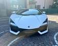 Lamborghini Revuelto Revuelto 6.5 V12. iva esposta - italiana Bianco - thumbnail 5