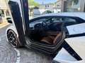 Lamborghini Revuelto Revuelto 6.5 V12. iva esposta - italiana Bianco - thumbnail 13