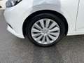 Nissan Micra Micra 1.5 dCi 8V 5 porte Bianco - thumbnail 6