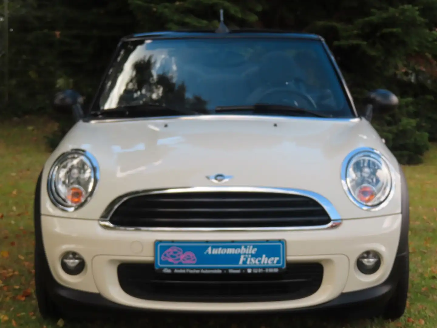 MINI One Cabrio Cabrio  "17 Zoll Alu-Pepper White" Weiß - 2