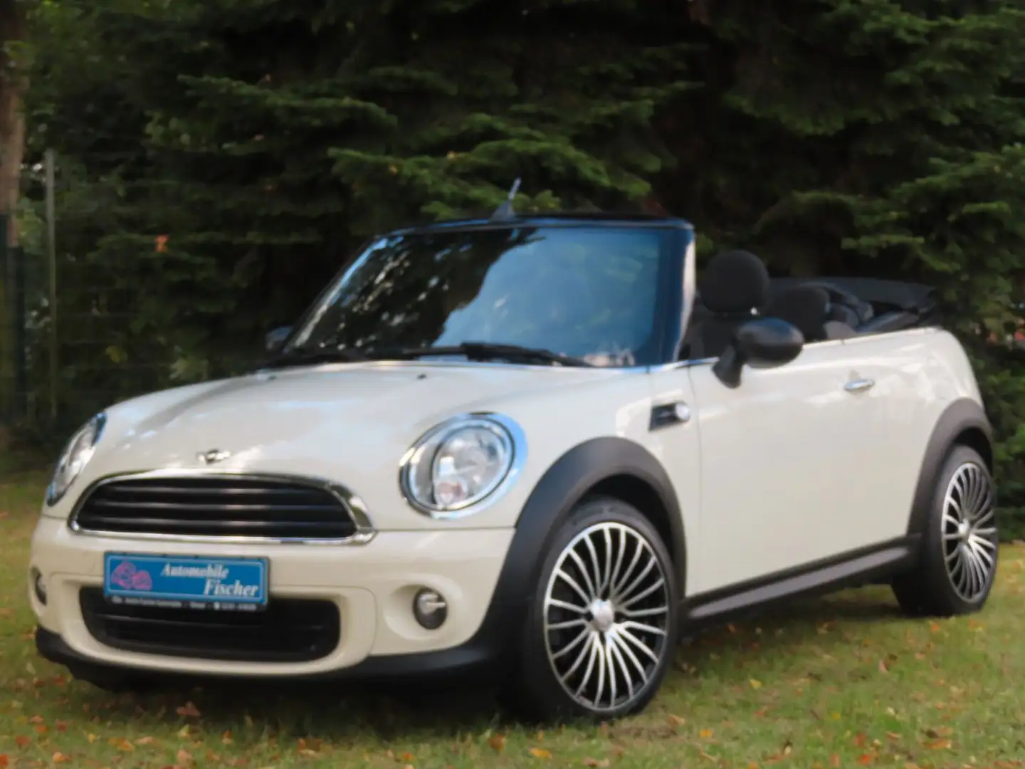 MINI One Cabrio Cabrio  "17 Zoll Alu-Pepper White" Weiß - 1