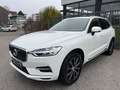 Volvo XC60 Inscription Plug-In Hybrid AWD KAMERA/AHK!! Blanc - thumbnail 1