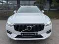 Volvo XC60 Inscription Plug-In Hybrid AWD KAMERA/AHK!! Blanc - thumbnail 2