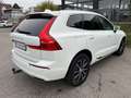 Volvo XC60 Inscription Plug-In Hybrid AWD KAMERA/AHK!! Blanc - thumbnail 10