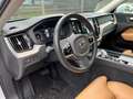 Volvo XC60 Inscription Plug-In Hybrid AWD KAMERA/AHK!! Blanc - thumbnail 20