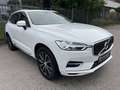 Volvo XC60 Inscription Plug-In Hybrid AWD KAMERA/AHK!! Blanc - thumbnail 3