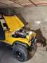 Jeep CJ-7 RENAGADE žuta - thumbnail 2