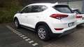 Hyundai TUCSON Tucson 1,6 T-GDI Premium Premium Weiß - thumbnail 2