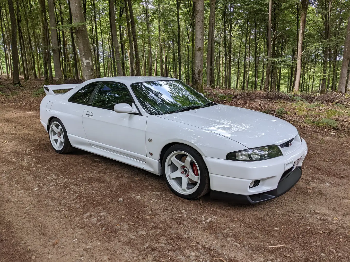 Nissan Skyline GTR R33 Bílá - 1