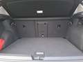 Volkswagen Golf VIII eTSI DSG MatrixLED Kamera ACC Weiß - thumbnail 15