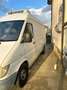 Mercedes-Benz Sprinter Furgone Isotermico Bianco - thumbnail 6