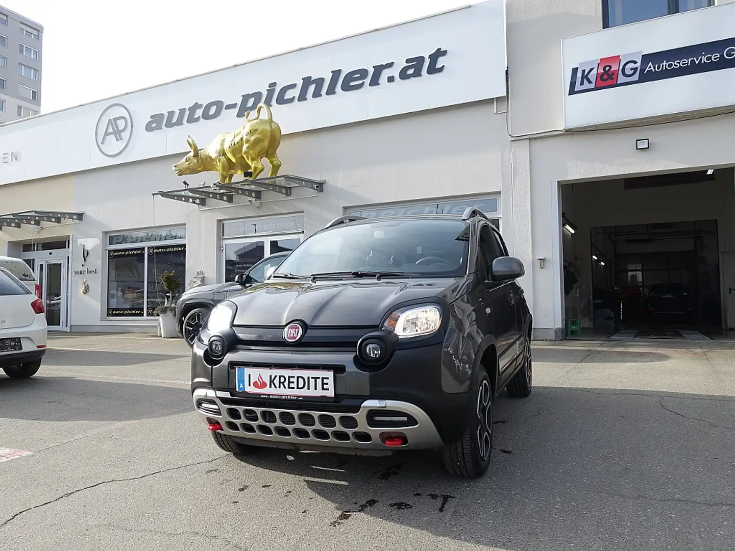 Fiat Panda TwinAir 85 4x4 Cross Gris - 1