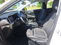Opel Grandland 1.5 D GS Line Lenk-Sitzheizung, Navi, LED Scheinwe Weiß - thumbnail 13