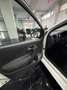 Volkswagen Polo Polo V 2009 5p 1.2 tdi Comfortline Bianco - thumbnail 5