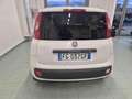 Fiat Panda 1.2 GPL Pop Van 2 posti Bianco - thumbnail 10