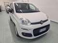 Fiat Panda 1.2 GPL Pop Van 2 posti Bianco - thumbnail 2
