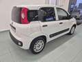 Fiat Panda 1.2 GPL Pop Van 2 posti Bianco - thumbnail 12