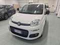 Fiat Panda 1.2 GPL Pop Van 2 posti Bianco - thumbnail 5