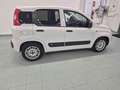 Fiat Panda 1.2 GPL Pop Van 2 posti Bianco - thumbnail 13