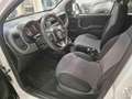 Fiat Panda 1.2 GPL Pop Van 2 posti Bianco - thumbnail 14