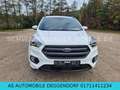 Ford Kuga ST-Line-KAMERA-PANO-AHK-EURO6-SHZ-ALLRAD Blanc - thumbnail 2