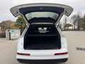 Audi Q7 3.0 TDI ULTRA SLINE QUATTRO TIPTRONIC TETTO UNIPRO Bianco - thumbnail 12