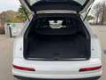 Audi Q7 3.0 TDI ULTRA SLINE QUATTRO TIPTRONIC TETTO UNIPRO Bianco - thumbnail 13