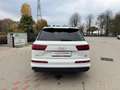 Audi Q7 3.0 TDI ULTRA SLINE QUATTRO TIPTRONIC TETTO UNIPRO Weiß - thumbnail 3