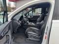 Audi Q7 3.0 TDI ULTRA SLINE QUATTRO TIPTRONIC TETTO UNIPRO Bianco - thumbnail 8