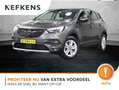 Opel Grandland X 1.2 130PK Turbo Business Elegance | AppleCarPlay/A Grijs - thumbnail 1