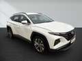 Hyundai TUCSON 1.6 CRDi 48V-Hybrid 2WD NAVI SHZ Weiß - thumbnail 2