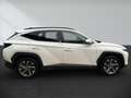 Hyundai TUCSON 1.6 CRDi 48V-Hybrid 2WD NAVI SHZ Weiß - thumbnail 3