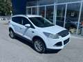 Ford Kuga Diesel Allrad 2,0 TDCi Titanium 4x4 Aut. Weiß - thumbnail 1