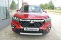 Suzuki S-Cross Comfort 4x4 Rot - thumbnail 3