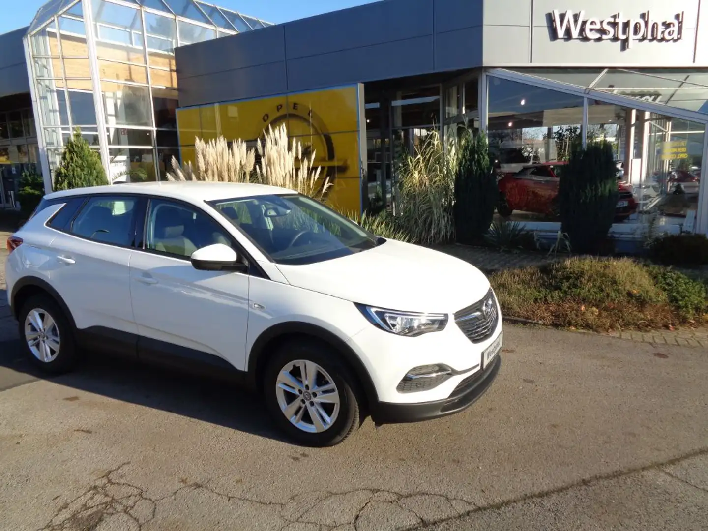 Opel Grandland X 1.2 Start/Stop Edition Wit - 1