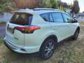 Toyota RAV 4 RAV 4 2.0 4x4 Start - thumbnail 3