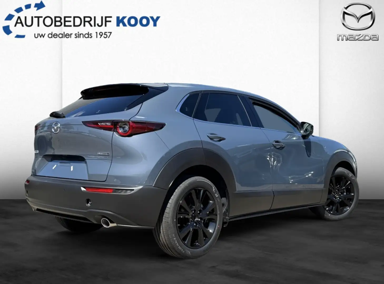 Mazda CX-30 2.5 e-SkyActiv-G 140 Homura Gris - 2