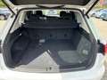 Volkswagen Touareg 4Motion 3.0 TDI AHK/LEDER/DAB+/LED Blanc - thumbnail 11