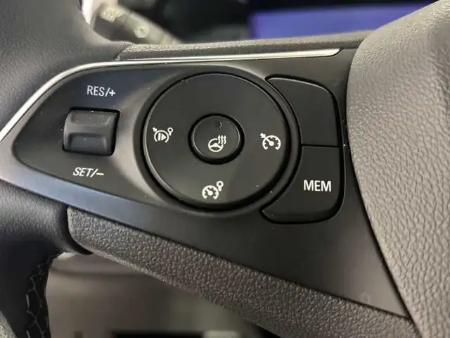 Opel Grandland view 20