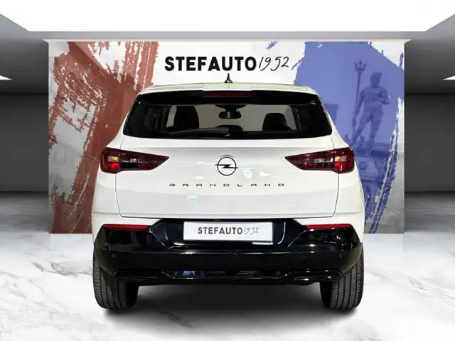 Opel Grandland view 6