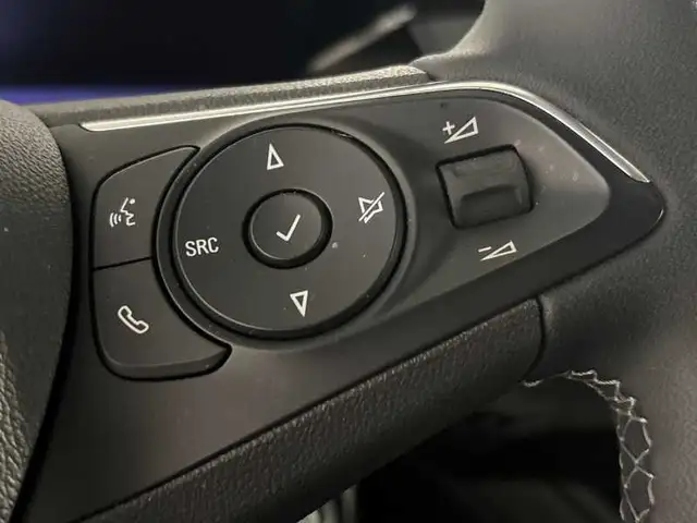Opel Grandland view 19