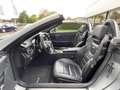 Mercedes-Benz SLK 55 AMG MAGIC SKY / NAPPA / ILS / HARMAN Grau - thumbnail 30