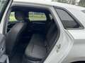 Audi A3 Sportback 30 2.0 Tdi  S-Tronic Busin. Advanced Bianco - thumbnail 7