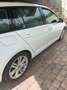 Volkswagen Golf Variant Golf Variant 1600 TDI  confortline 110cv E6 - thumbnail 3