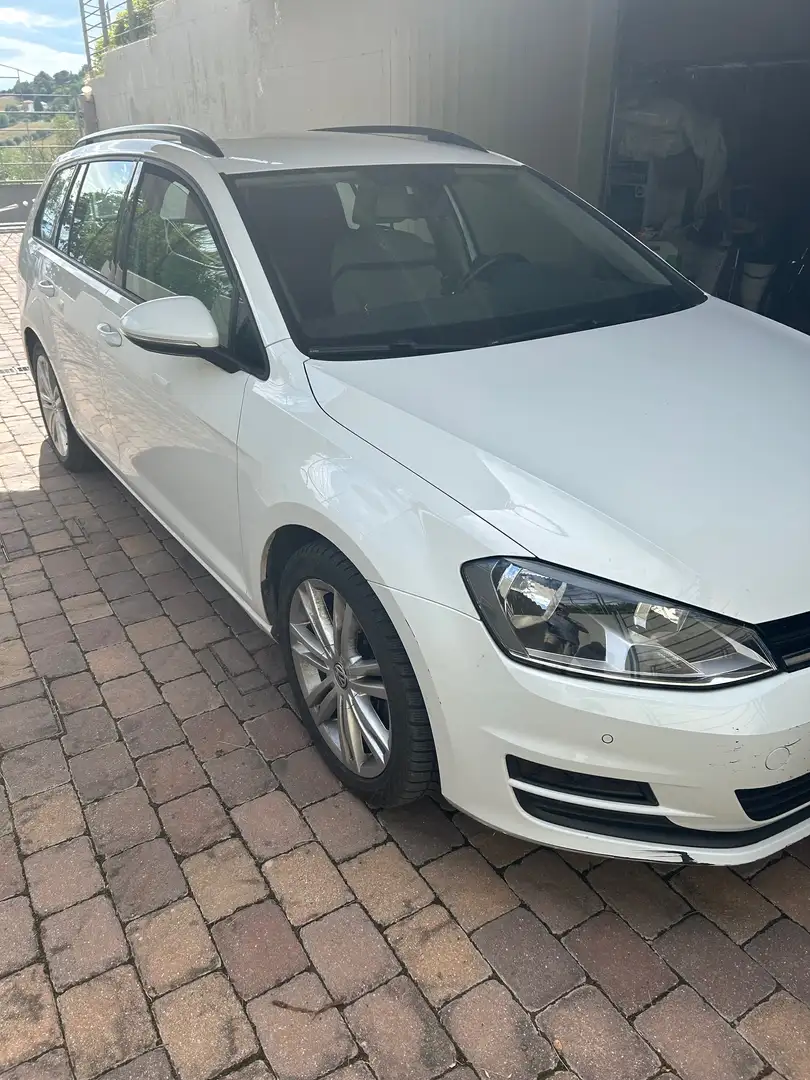 Volkswagen Golf Variant Golf Variant 1600 TDI  confortline 110cv E6 - 2